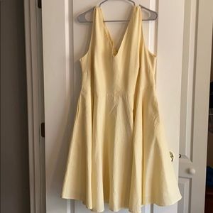 Plus size skater dress